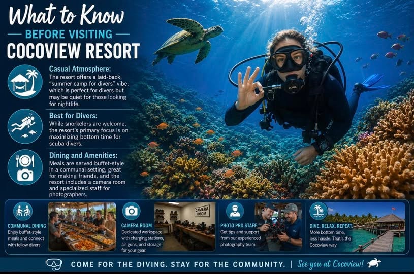 What to know before visiting CocoView Resort — resort amenities and diving info